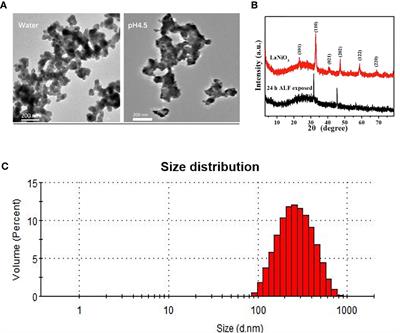 Induced Autophagy of Macrophages and the Regulation of Inflammatory Effects by Perovskite Nanomaterial LaNiO3